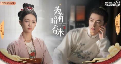 為有暗香來(lái)仲溪午是男主嗎?