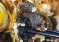 高校食堂疑吃出鼠頭 店家曾稱是牛肉 學校方面未給出明確回復