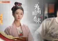 為有暗香來男主角是誰 男主角是什么身份背景?