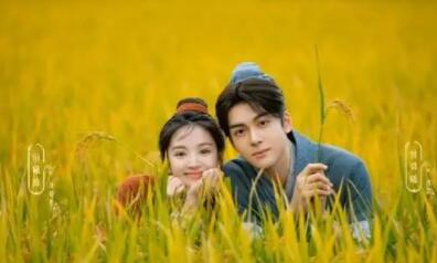 田耕紀(jì)劇情介紹大結(jié)局是什么?