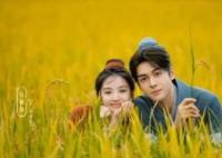 田耕紀(jì)已定檔播出時(shí)間 10月14日在愛奇藝播出