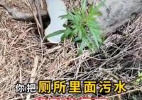 山西5A景區(qū)被指將糞便排入河中 河水下流還有人家靠這水吃飯