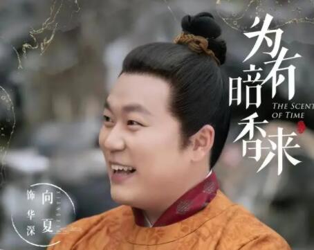 向夏演過的電視劇有哪些?