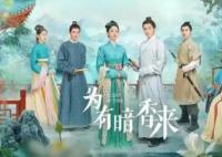 為有暗香來華淺和仲溪午為什么沒有在一起?