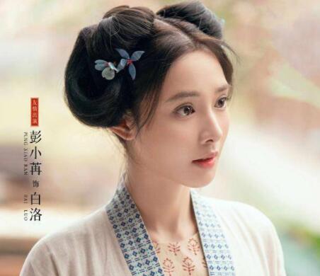 為有暗香來白洛人物角色介紹 白洛身份是什么?