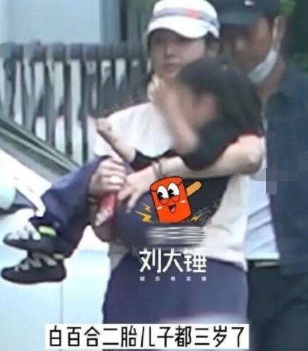 白百何二胎什么時候生的 白百何又離婚了嗎?