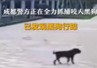 警方已發(fā)現(xiàn)咬人黑狗行蹤 惡犬傷人該受到什么樣的處理?