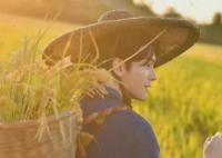 田耕紀(jì)沈諾是npc嗎?