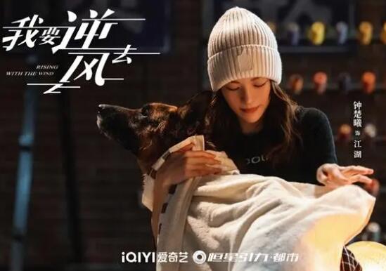 我要逆風去改編自哪部小說 主要劇情是什么?