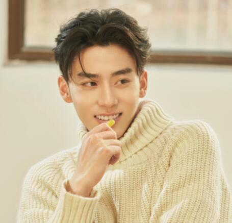 梅花紅桃高放扮演者趙華為個人資料介紹