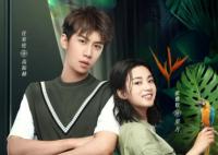 張雅欽和任宥綸是情侶嗎?