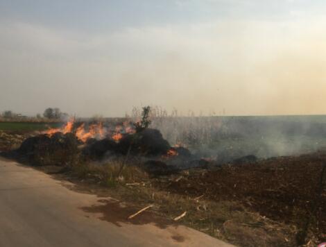 秸稈焚燒政策最新消息