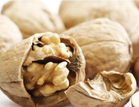 堅(jiān)持吃核桃6個(gè)月會(huì)怎樣 吃核桃補(bǔ)腦是真的嗎