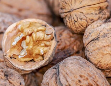 堅(jiān)持吃核桃6個月會怎樣 吃核桃補(bǔ)腦是真的嗎