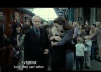 哈利波特馬爾福最后和誰結(jié)婚了