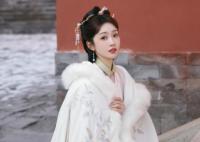 宣璐演過(guò)的所有電視劇大全