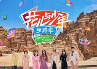 花兒與少年5是哪個電視臺播出