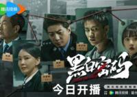 黑白密碼結(jié)局是he嗎