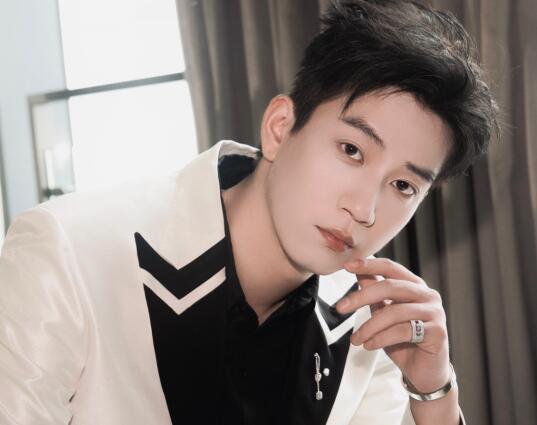 王子奇演過的電視劇有哪些