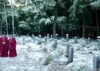 寧安如夢(mèng)三百義童誰(shuí)害的