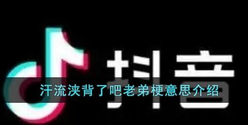 汗流浹背了吧老弟是誰的梗