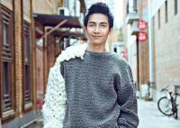 陳楚生為什么突然消失跨年演唱會