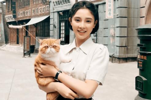 電視劇畫眉根據(jù)什么改編的