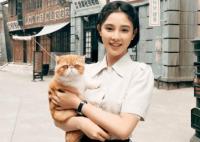 電視劇畫(huà)眉根據(jù)什么改編的