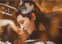 夜族公子小仙妻共幾集