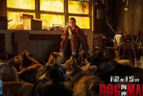 狗神講的是什么故事