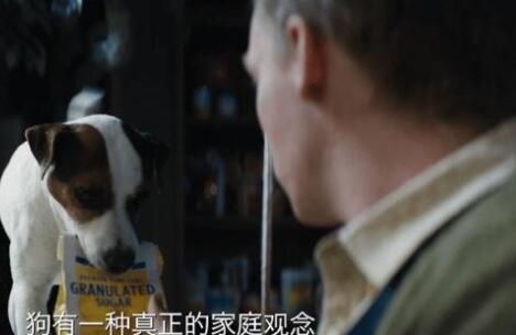 狗神2023什么時候上映