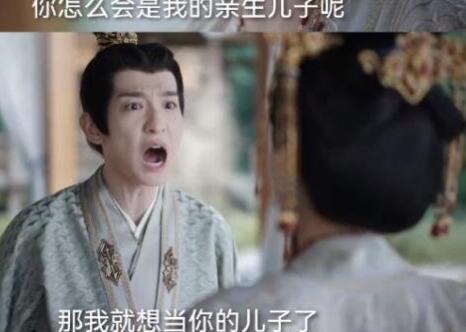 一念關(guān)山二皇子是皇后親生的嗎