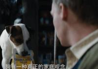 狗神2023什么時候上映