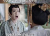 一念關(guān)山二皇子是皇后親生的嗎