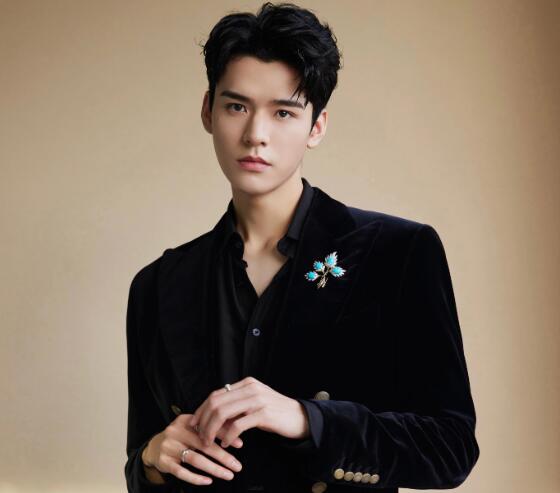 龔俊代表作有哪些 龔俊怎么出道的