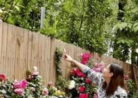 周海媚結(jié)婚了嗎 周海媚個(gè)人資料簡介