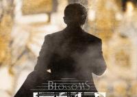 繁花導演是誰 還有什么作品