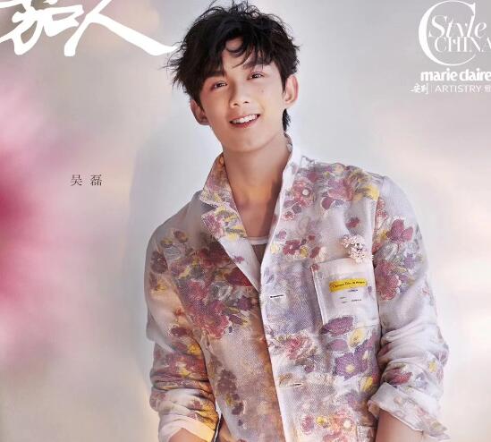 吳磊小時(shí)候演過(guò)的電視劇有哪些?