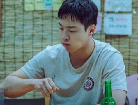 沙之花也有春天什么時候播出