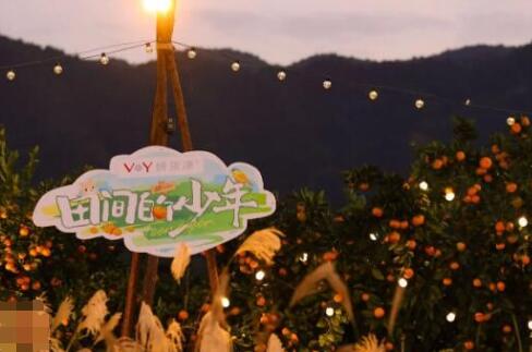 田間的少年綜藝在哪個平臺播出