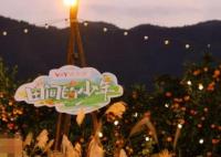 田間的少年綜藝在哪個(gè)平臺(tái)播出