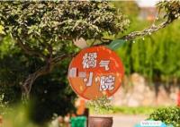 田間的少年一共有幾期