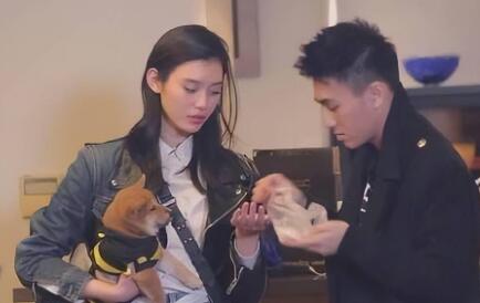 愛的修學(xué)旅行何猷君辯論哪一期