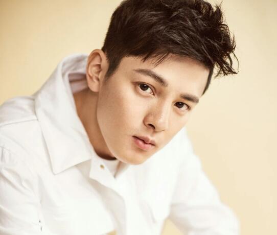 王潤澤怎么進入演藝圈的