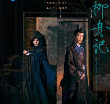 柳舟記是大女主劇嗎