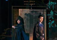 柳舟記男女主是誰(shuí)演的