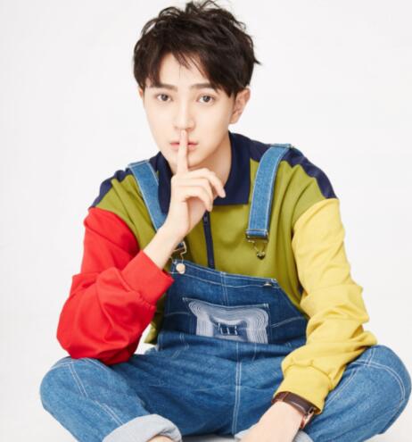 漂洋過海再愛你阿輝扮演者王術一個人資料介紹