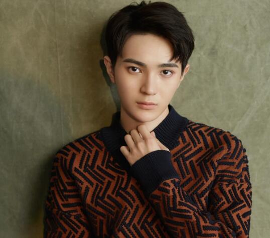 王術(shù)一個(gè)人簡(jiǎn)介 王術(shù)一代表作品是什么