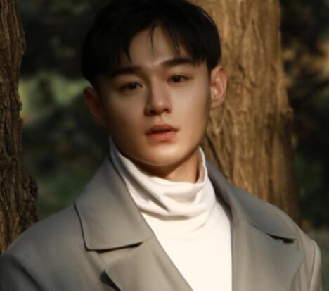 劉奕鐵演過什么電視劇角色