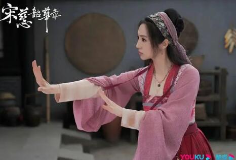 宋慈韶華錄宋清和宋慈什么關(guān)系